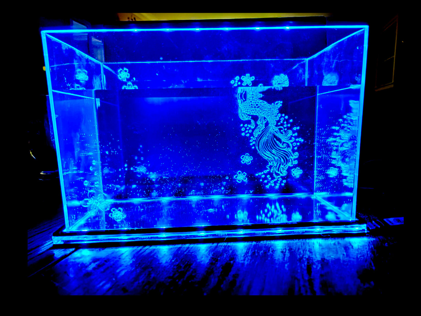 1.3g Fish Tank with LED and Custom Design