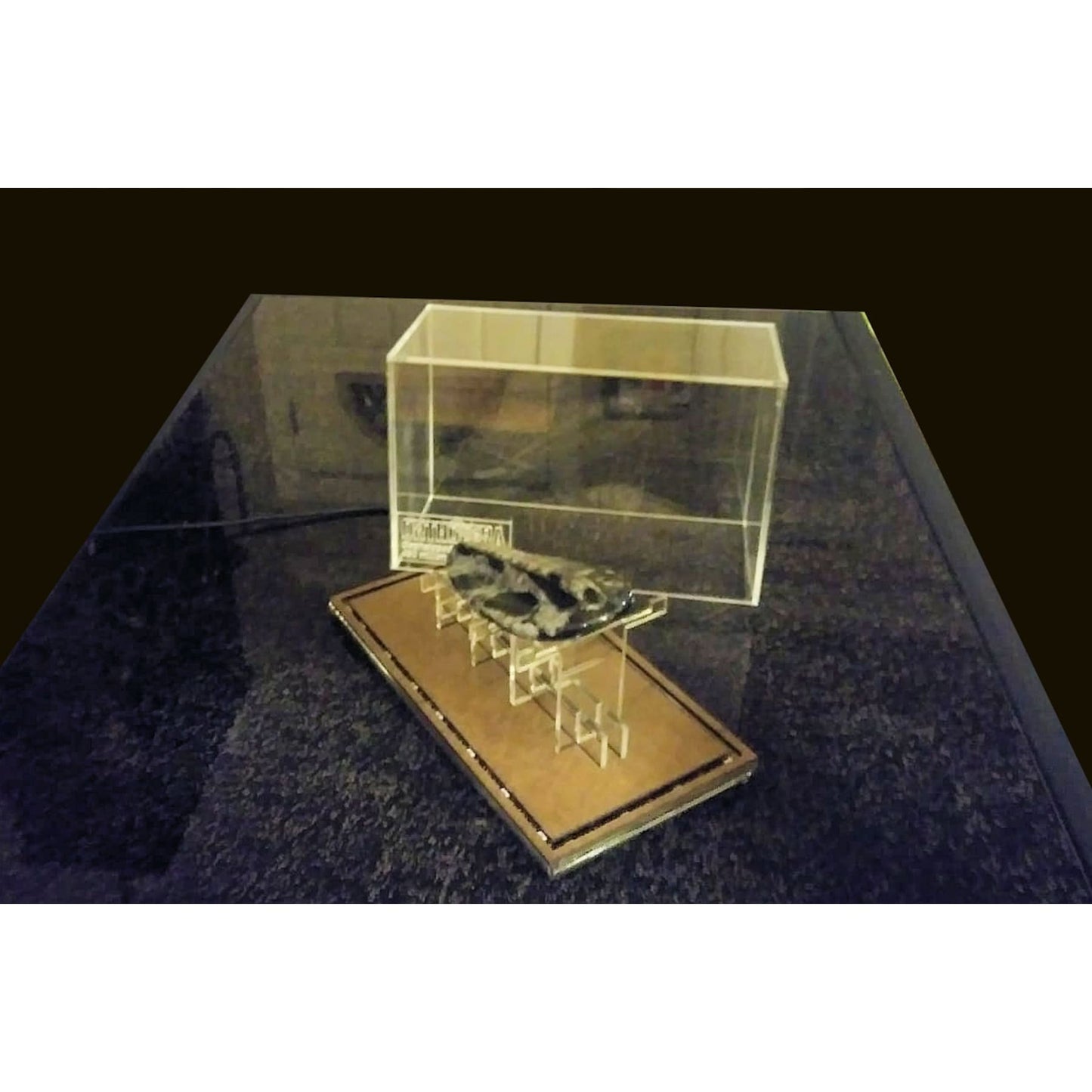 Acrylic Display Case for Fossils with Stand, custom made No LED version