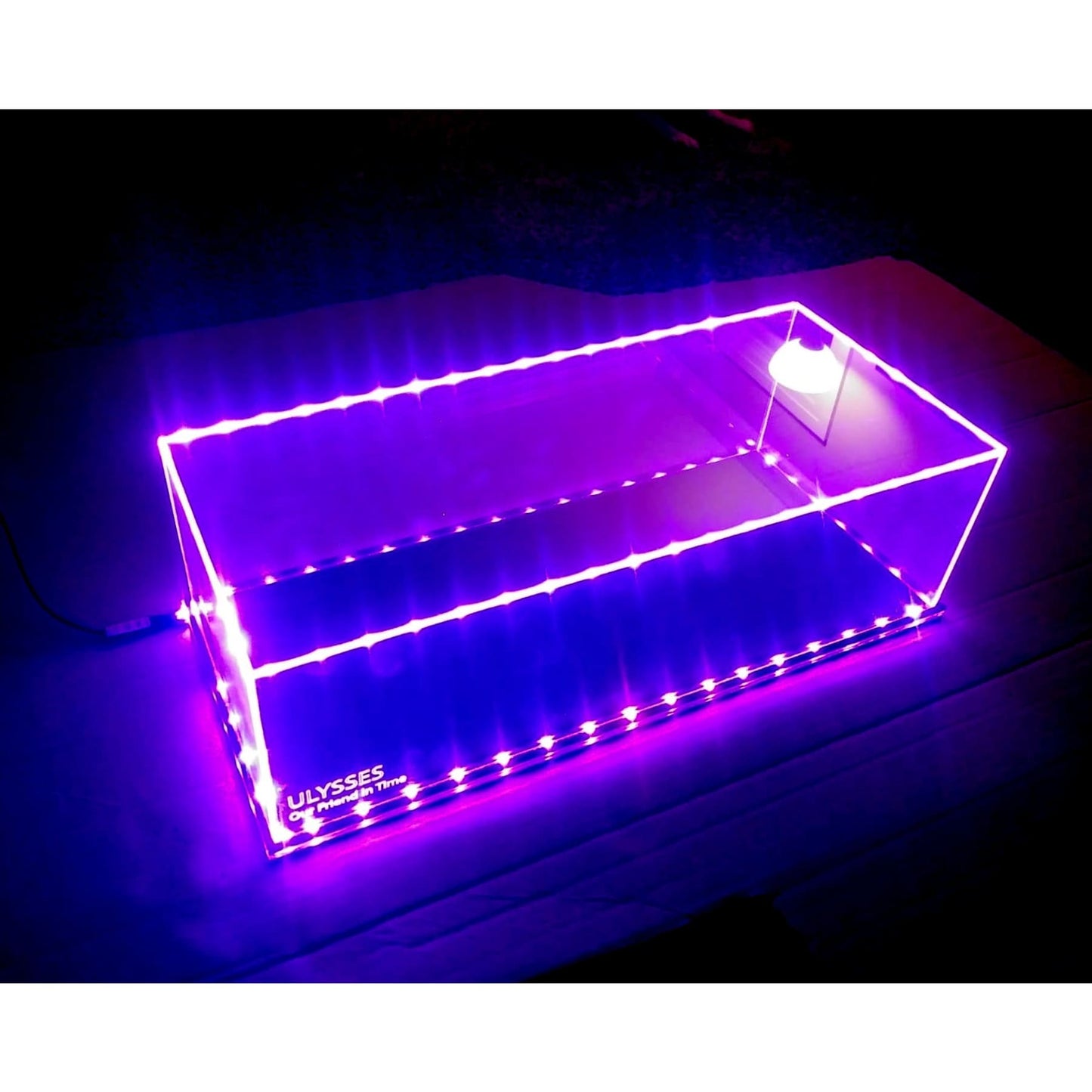 Acrylic Large LED Display Case with inscription